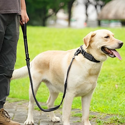 Laisse pour chien Refabsorb noir labrador