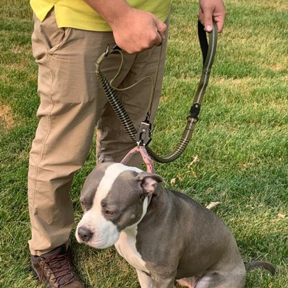Laisse pour chien Refabsorb vert pitbull