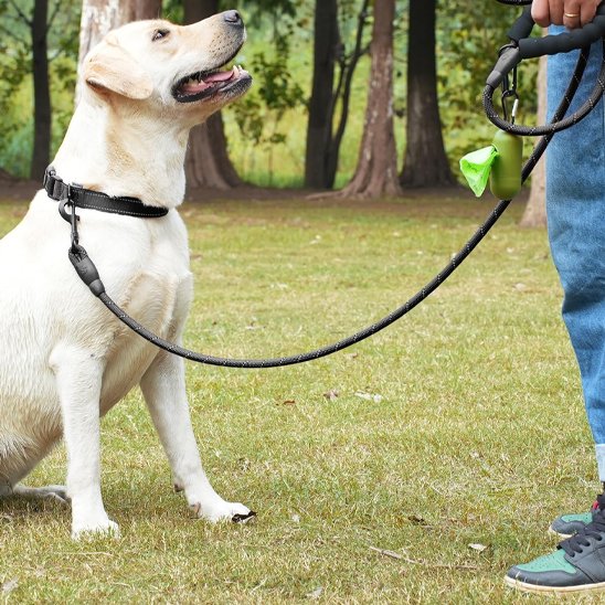 Laisse pour chien Refrembour violette labrador