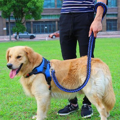 Laisse pour Chien Tressé nylon bleu noir