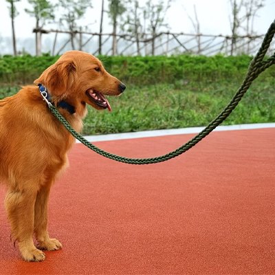 Laisse pour Chien Tressé nylon golden vert