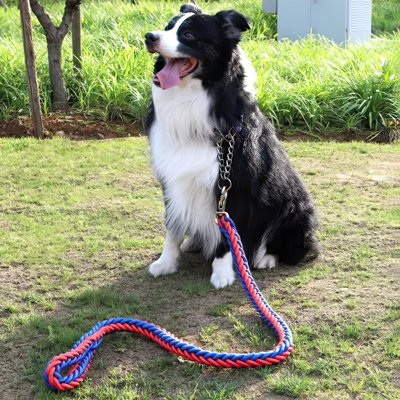 Laisse pour Chien Tressé nylon rouge bleu