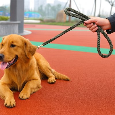 Laisse pour Chien Tressé nylon vert