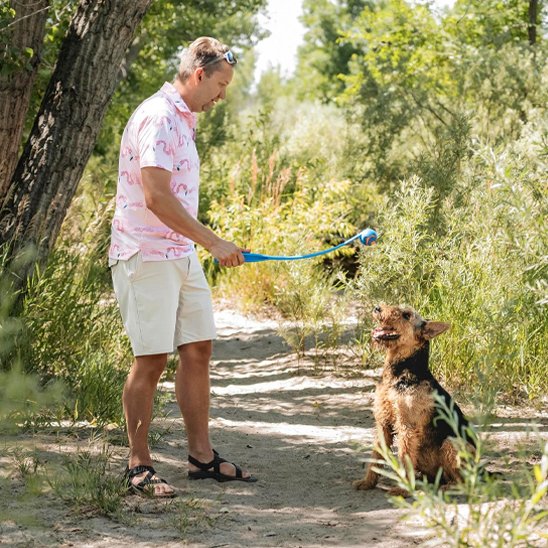 Lanceur de balle pour chien Tennis assie