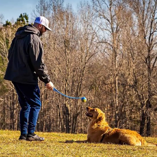 Lanceur de balle pour chien Tennis couché