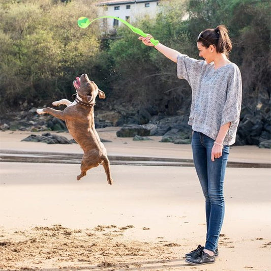 Lanceur de balle pour chien Tennis saut