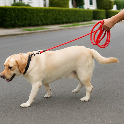 Longe chien rappel rouge