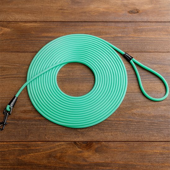 Longe chien rappel vert
