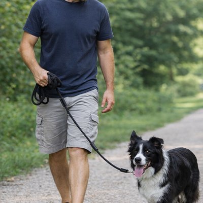 Longe pour Chien Nylonrob noir