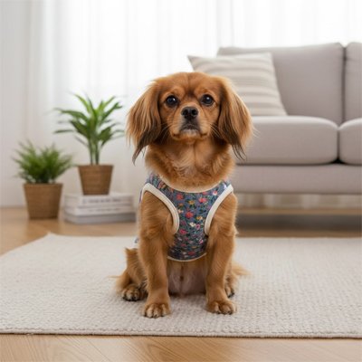 Manteau Chien Fleurs assie