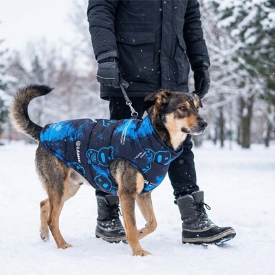 Manteau chien Vestgrand