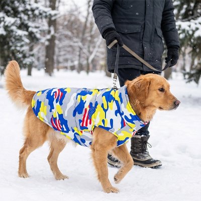 Manteau chien 
