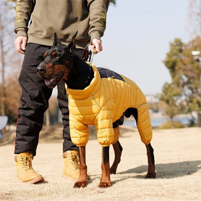 Manteau pour Chien Doudoune jaune
