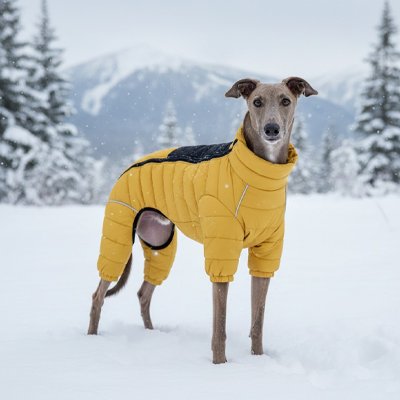 Manteau pour Chien Doudoune lévrier