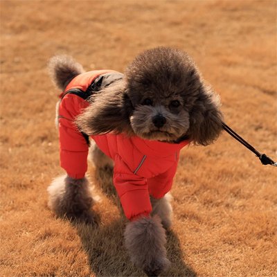 Manteau pour Chien Doudoune orange