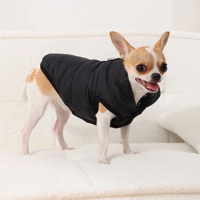 Manteau pour Chien Polpetit noir