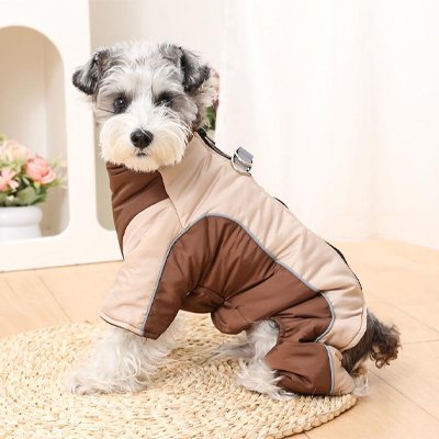 Manteau pour Chien réfléch assie