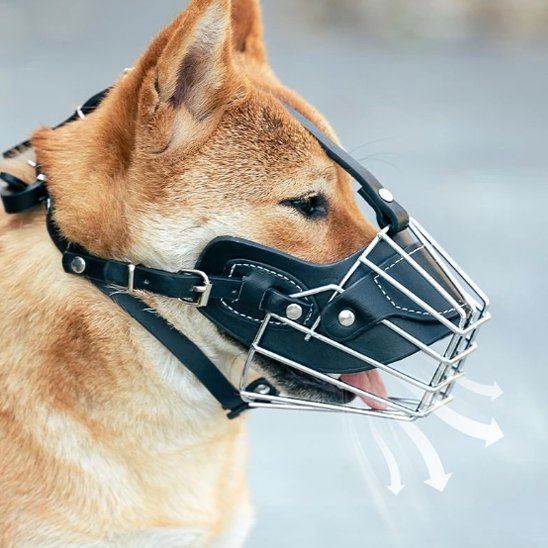 Museliere cage métallique Akita