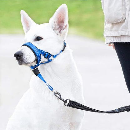 Muselière chien​ BBS bleu maître
