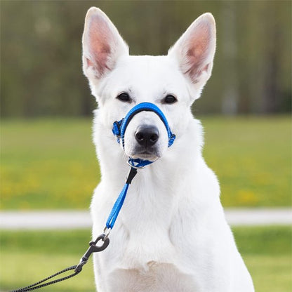Muselière chien​ BBS face bleu