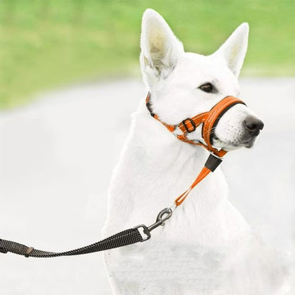Muselière chien​ BBS femelle orange