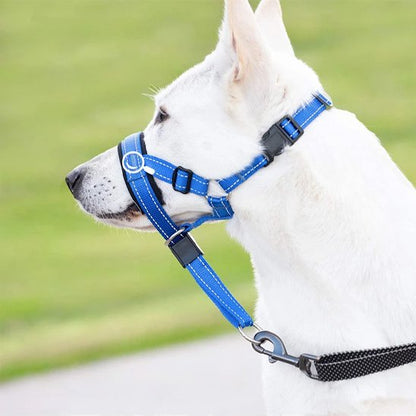 Muselière chien​ BBS poil court bleu