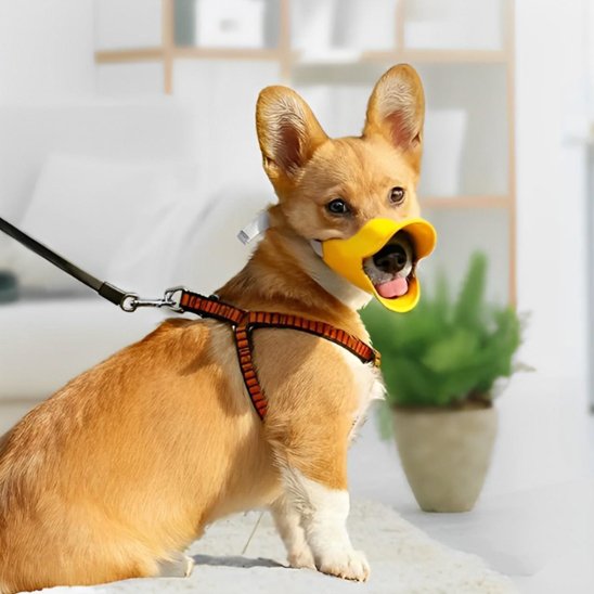 Muselière chien canard assis