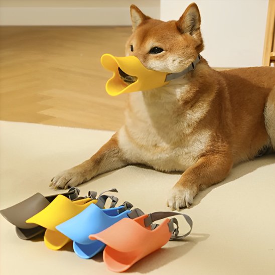 Muselière chien canard couleurs
