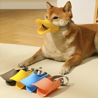 Muselière chien canard couleurs