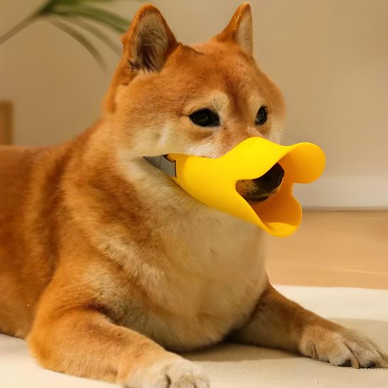 Muselière chien canard jaune