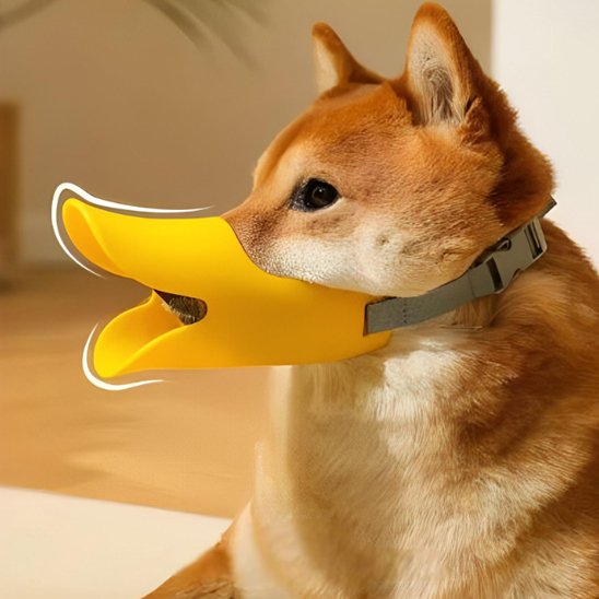 Muselière chien canard salon