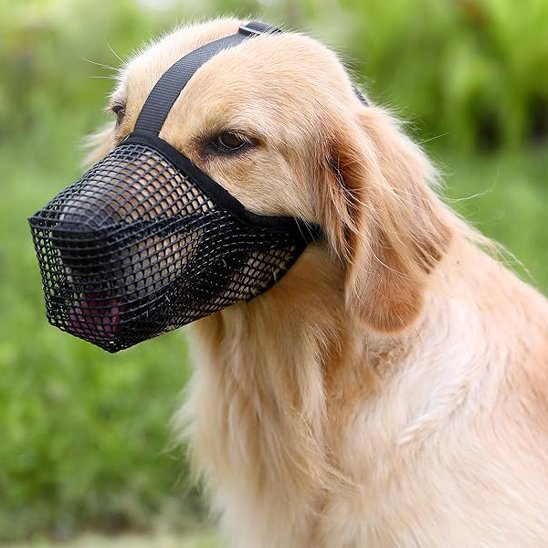 Muselière chien maille douce golden noir
