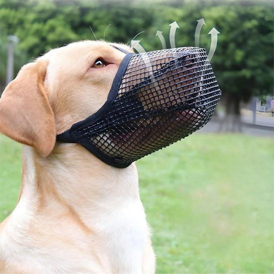 Muselière chien maille douce labrador noir
