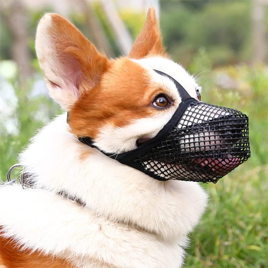 Muselière chien maille douce noir