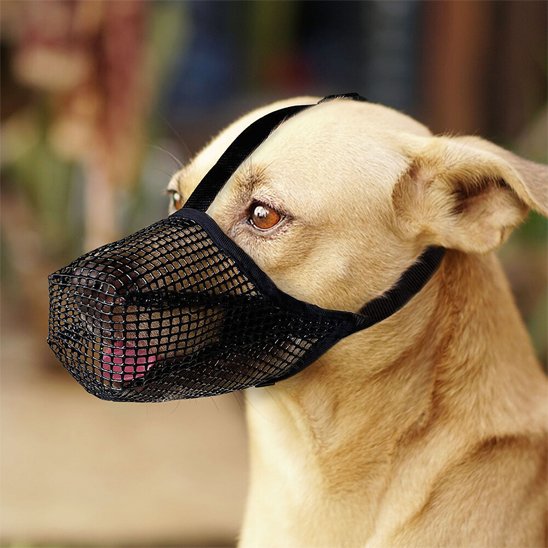 Muselière chien maille douce terrier noir