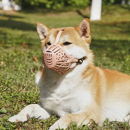Museliere chien respirent réglable shiba inu couché