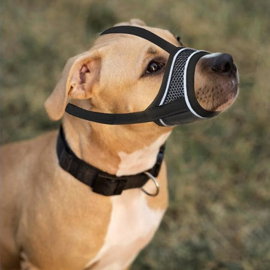 Museliere masque pit bull