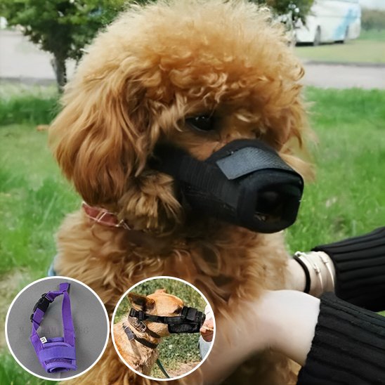 MUSELIERE Respirante Caniche noir + bleu