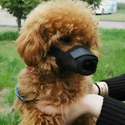 MUSELIERE Respirante caniche noir