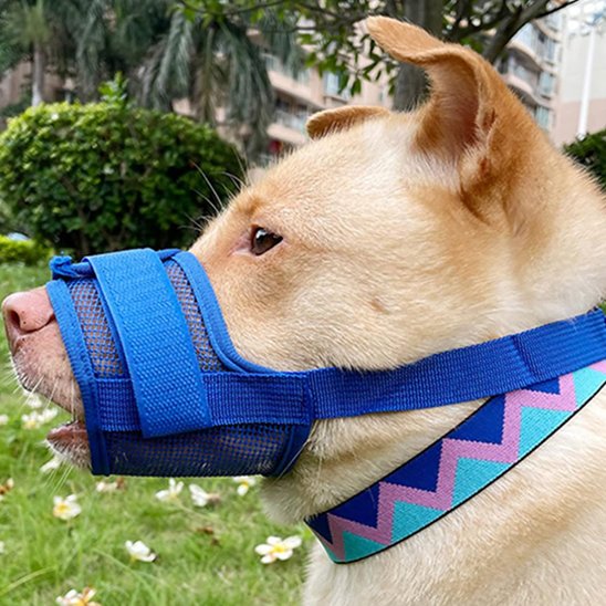 MUSELIERE Respirante terrier bleu