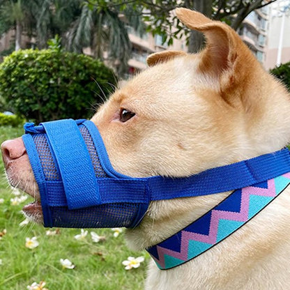 MUSELIERE Respirante terrier bleu