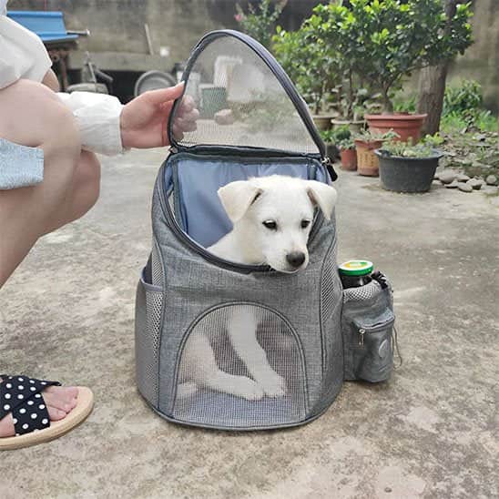 Sac à dos pour chien Restpli sortie