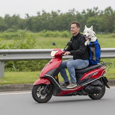 Sac à dos pour Chien Ventext moto