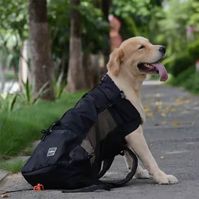 Sac à dos pour Chien Ventext noir