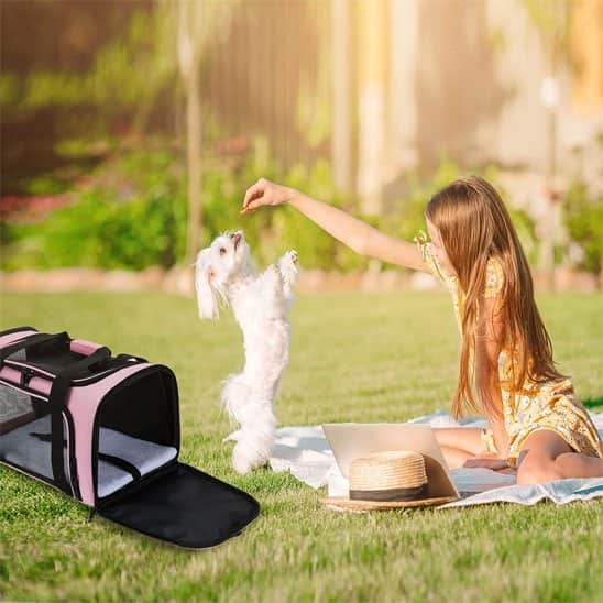 sac de transport chien mesh belle