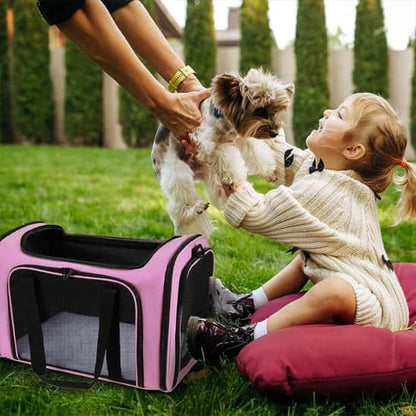 sac de transport chien mesh fille