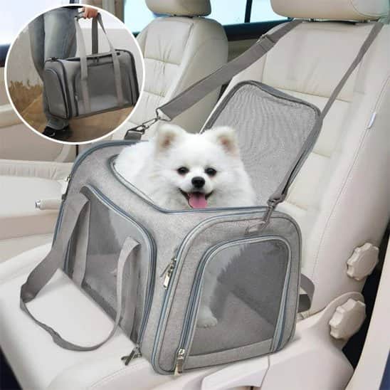 sac de transport chien mesh main