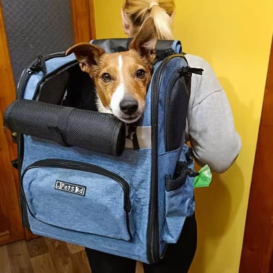 Sac de transport pour chien de 9kg bleu