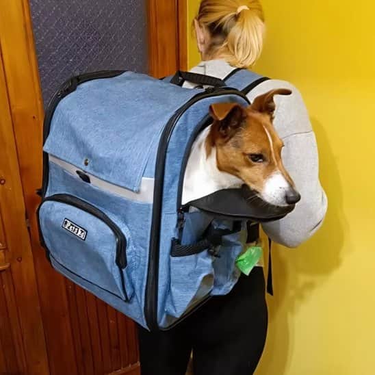 Sac de transport pour chien de 9kg côté