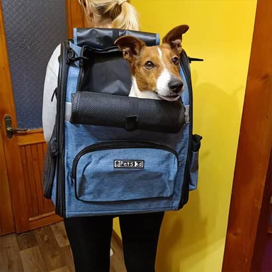 Sac de transport pour chien de 9kg haut